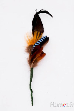 Composition en plumes n° 20 - longueur 12 cm - naturel
